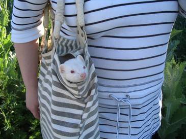 Fotky z prechádzky (2).JPG